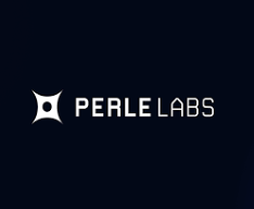 什麼是 Perle Labs？為什麼它在 Web3 AI 領域受到關注？