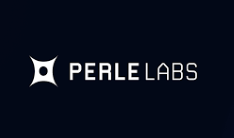 什么是 Perle Labs？为什么它在 Web3 AI 领域受到关注？