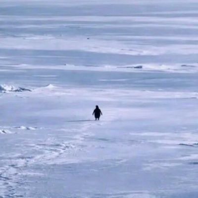 Nietzschean Penguin
