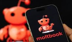 什么是Moltbook?为什么AI代理要建立自己的社交网络?