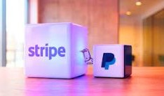 Why Was PayPal Stock Halted? What It Signals for Investors