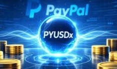 PYUSDx란 무엇인가요? MoonPay의 프레임워크가 PayPal USD를 어떻게 확장하나요?