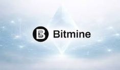 什麼是Bitmine MAVAN平台？它如何產生收益？