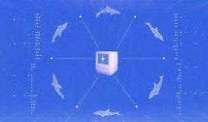什麼是POD代幣？Dolphin AI Flywheel如何運作？