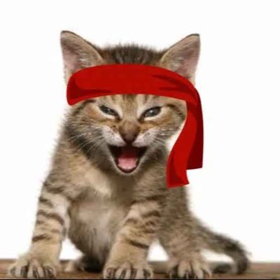 Red Kitten Crew
