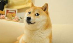 Mystery Shiba Inu Rally Hits 36% Fueled by Korean Exchanges