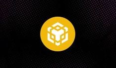 如何设置BNB Chain钱包：分步指南