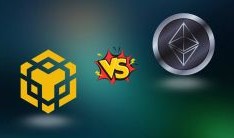 BNB Smart Chain vs. Ethereum: Same Wallet, Different Network?