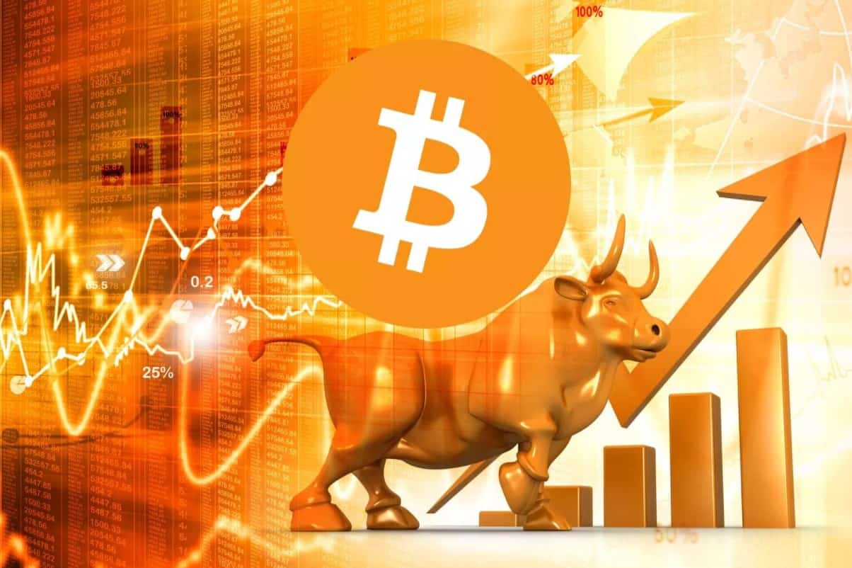 What is a Bull Market and What Triggers a Bull Market Crypto?