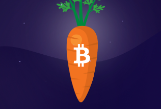 What is Taproot: a newly upgraded Bitcoin