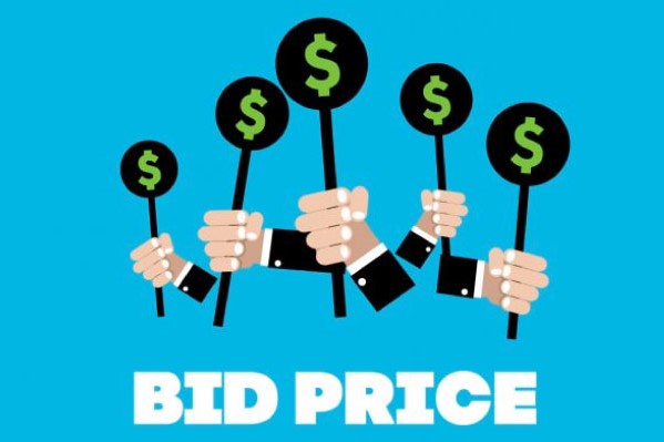 Bid Price Meaning: What is Call Bid Price?
