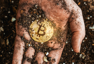 How Much Was Bitcoin In 2009 and Bitcoin Price History