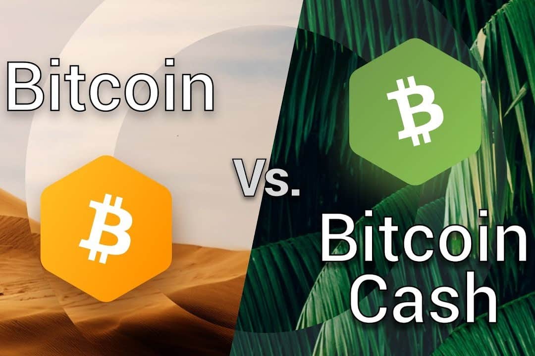 BTC vs. BCH: Difference Between Bitcoin and Bitcoin Cash