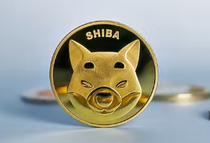 模因硬幣在加密中的含義：什麼是模因硬幣？