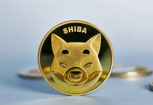 Shiba 在加密中的含義是什麼，為什麼它如此受歡迎？