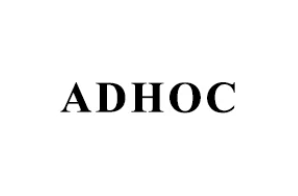 Meaning ad hoc: What is ad hoc?