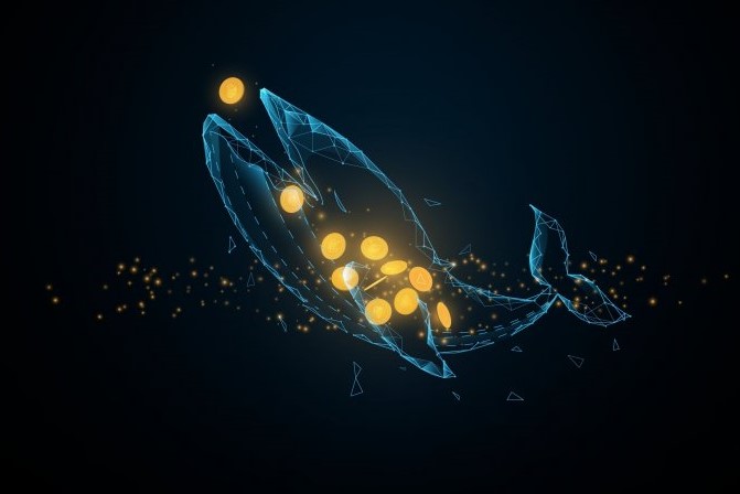 加密鯨魚含義：加密貨幣中的鯨魚是什麼？