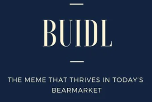What is BUIDL meaning