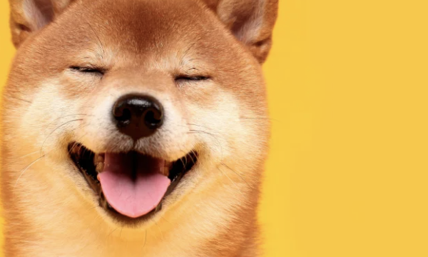 什么是狗狗币？可以用狗狗币做什么？